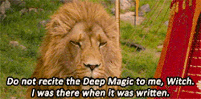 a picture of a lion with the words do not recite the deep magic to me witch i was there when it was written